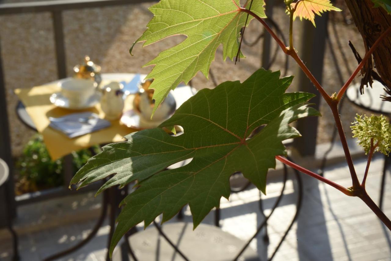 Umema B&B Albenga Dış mekan fotoğraf